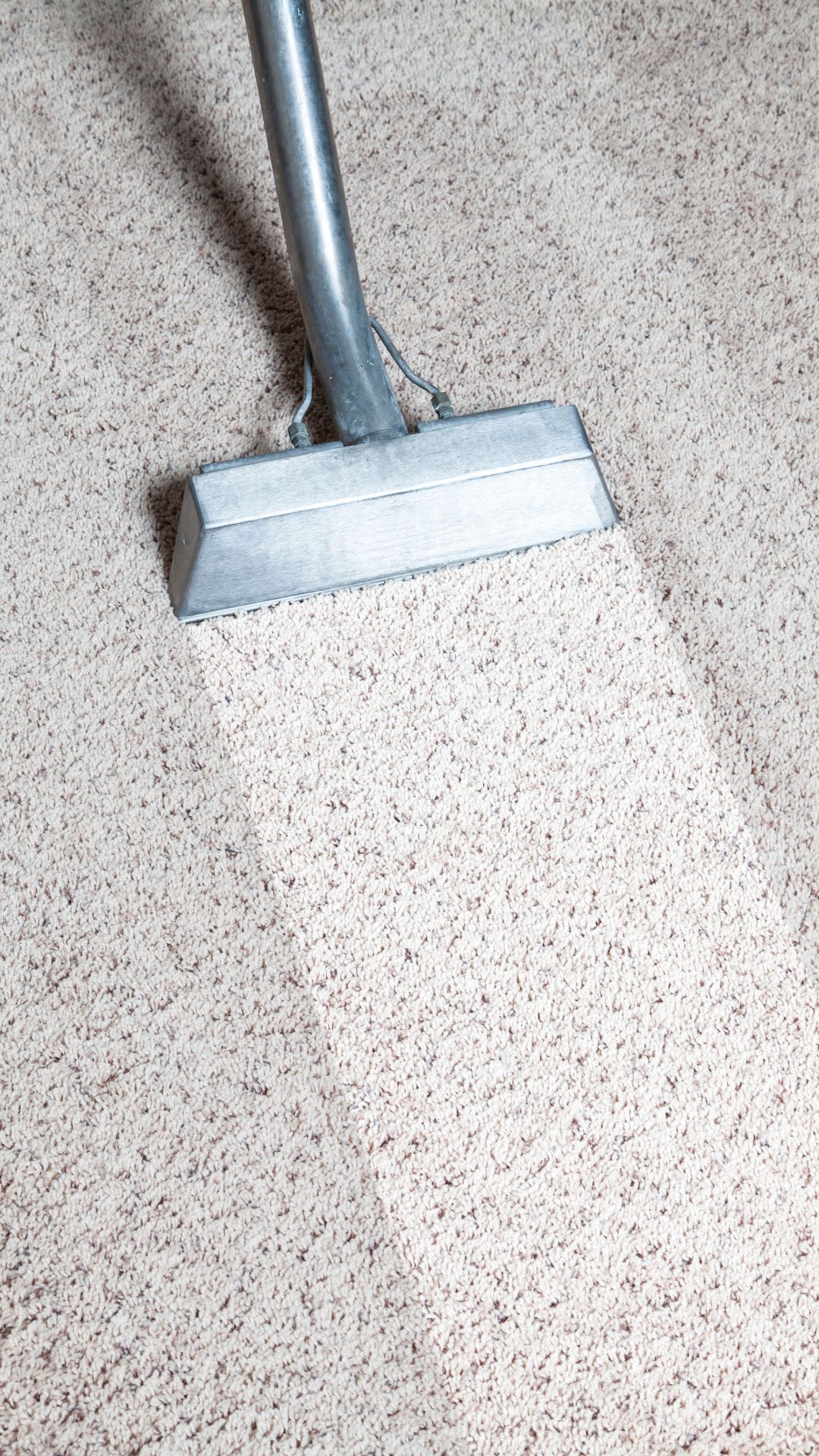 Carpet Cleaning